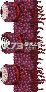 泰拉瑞亚1.4.4.9汉化版