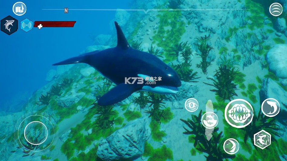 食人鲨破解版