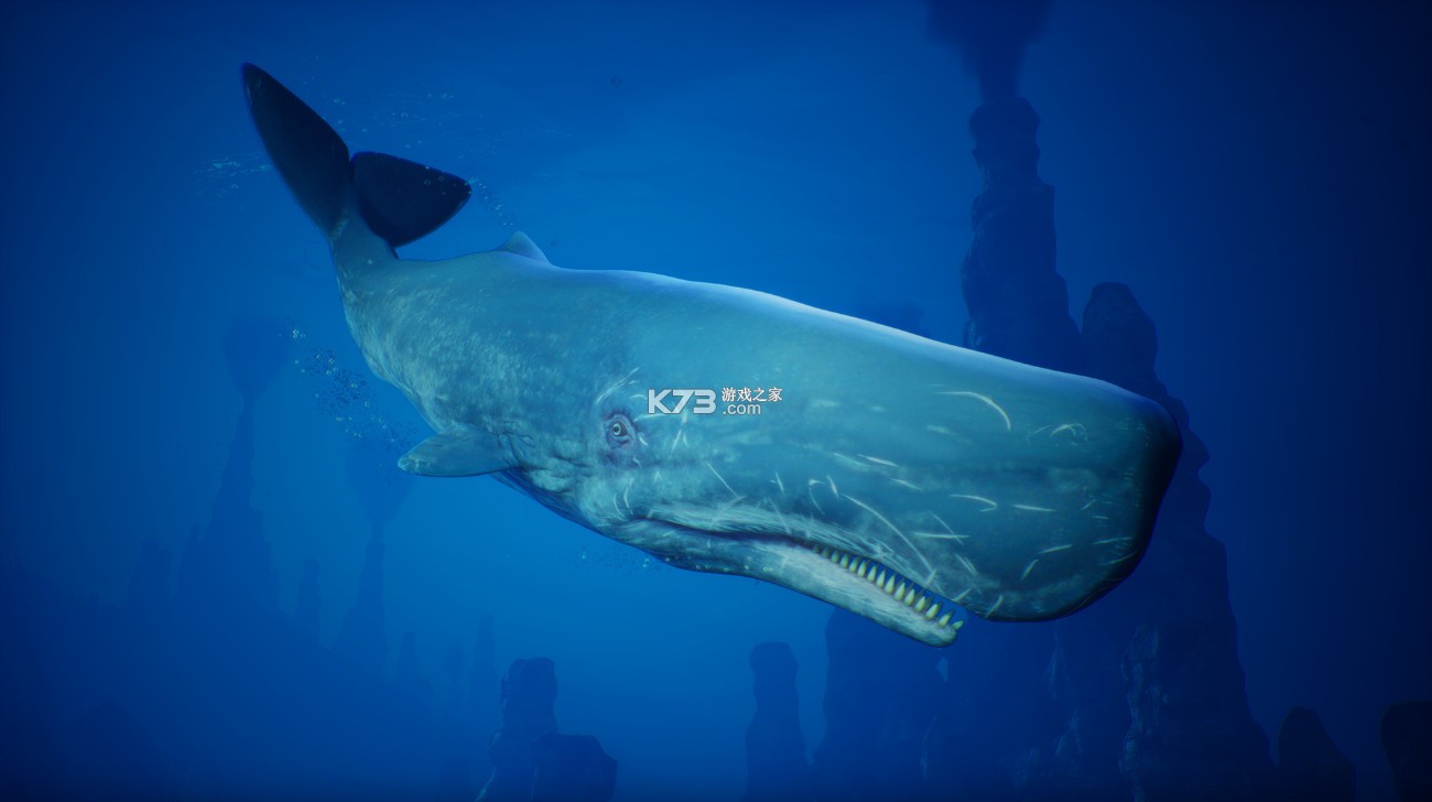 食人鲨破解版