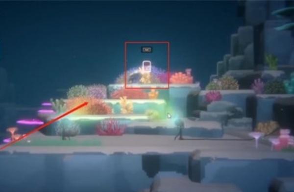 潜水员戴夫怎么拍鬼蝠鲼照片 潜水员戴夫怎么拍鬼蝠鲼照片