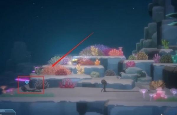 潜水员戴夫怎么拍鬼蝠鲼照片 潜水员戴夫怎么拍鬼蝠鲼照片