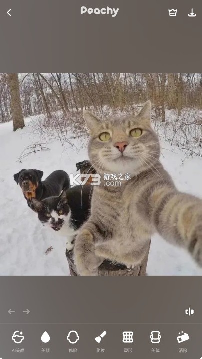 Peachyapp官方版v1.201.59