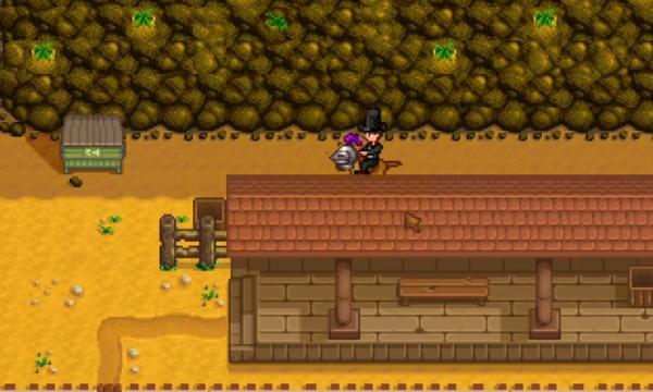 星露谷物语隐藏山洞怎么开启-隐藏山洞开启方法