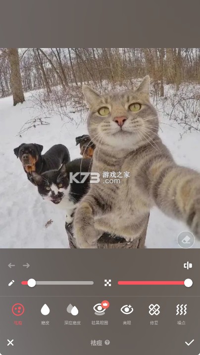 Peachyapp官方版v1.201.59