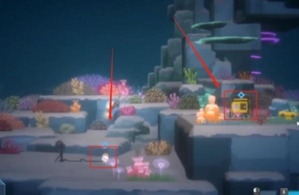 潜水员戴夫怎么拍鬼蝠鲼照片-拍鬼蝠鲼照片方法