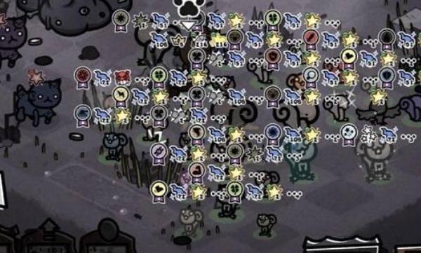 喵喵的结合德鲁伊松鼠流派怎么玩