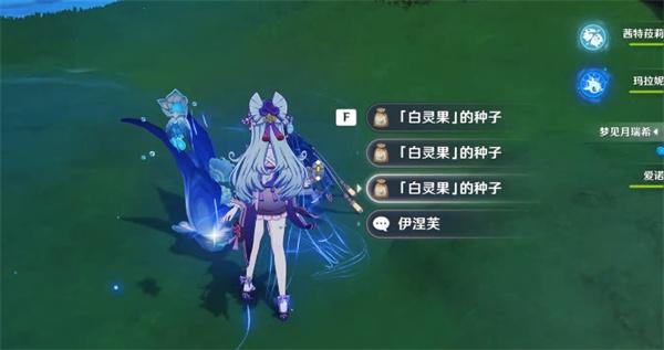 原神白灵蛋卷食谱怎么获得-白灵蛋卷食谱获取方法