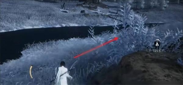 燕云十六声狮子坟漠漠喵在哪