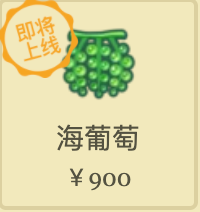 动物之森12月更新海洋生物一览