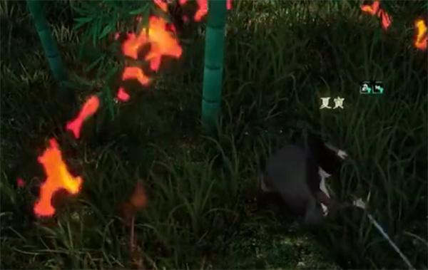 下一站江湖2月下剑舞任务怎么做 下一站江湖2月下剑舞任务怎么做