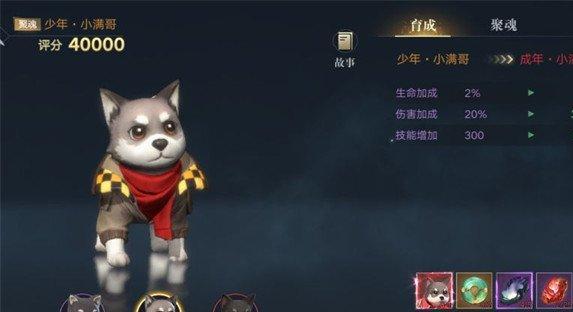 新盗墓笔记宠物怎么培养